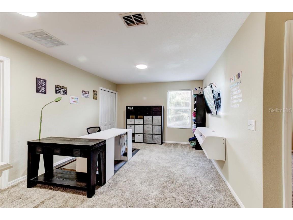 2943 Etowah Park Boulevard Tavares FL 32778 G5105285 image27