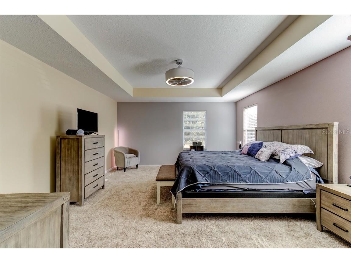 2943 Etowah Park Boulevard Tavares FL 32778 G5105285 image38