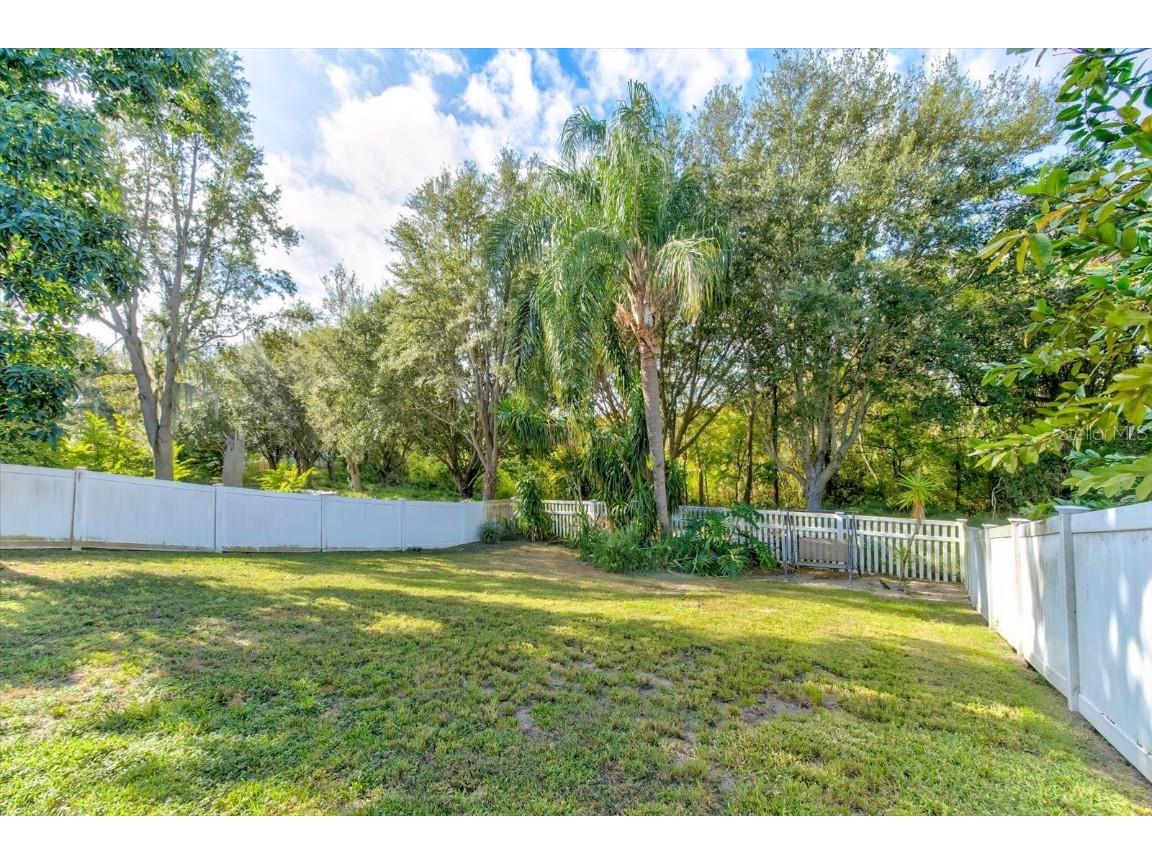 2943 Etowah Park Boulevard Tavares FL 32778 G5105285 image48