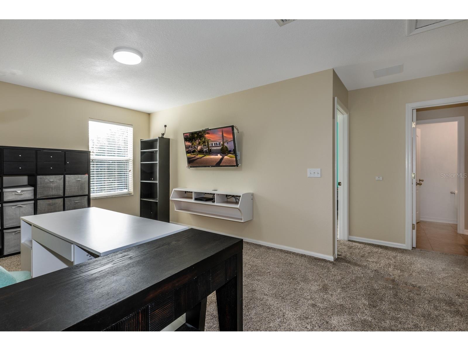 2943 Etowah Park Boulevard Tavares FL 32778 G5112661 image14