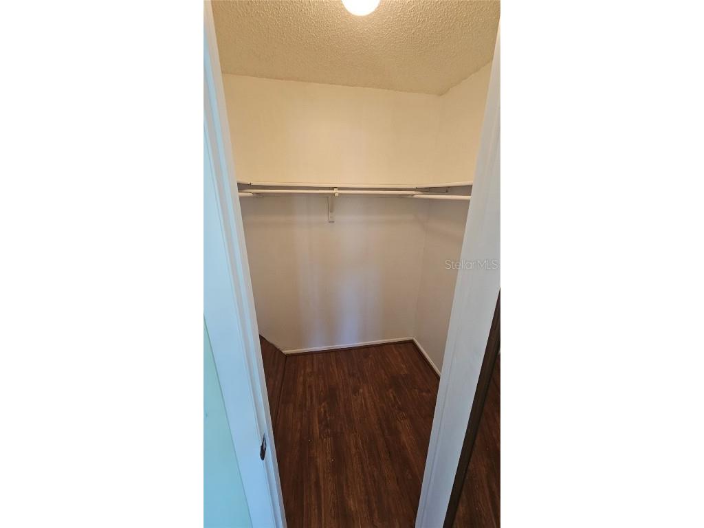 2943 Lichen Lane #B Clearwater FL 33760 TB8438607 image31