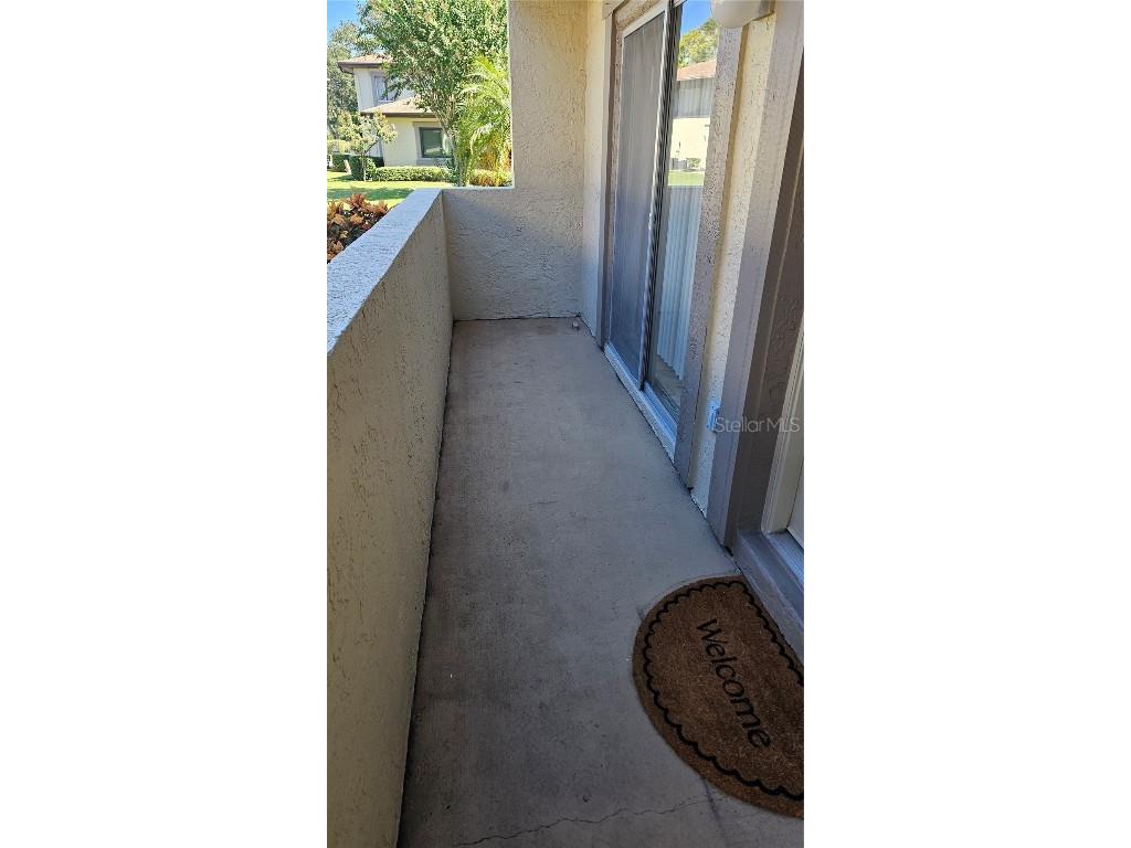 2943 Lichen Lane #B Clearwater FL 33760 TB8438607 image34