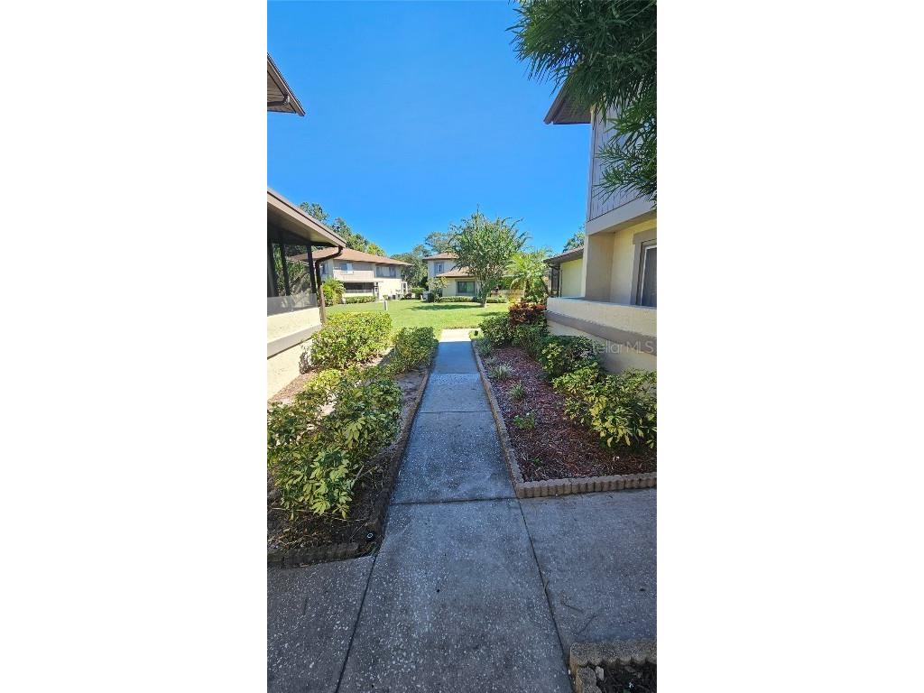 2943 Lichen Lane #B Clearwater FL 33760 TB8438607 image36