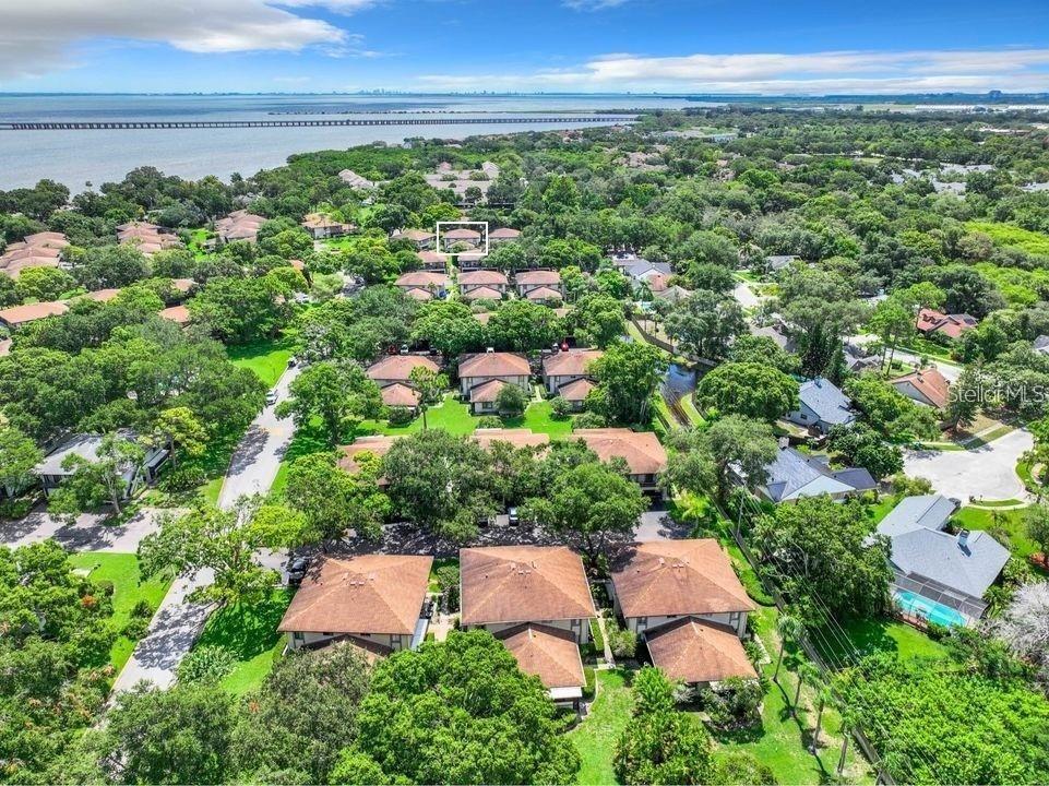 2943 Lichen Lane #B Clearwater FL 33760 TB8438607 image42