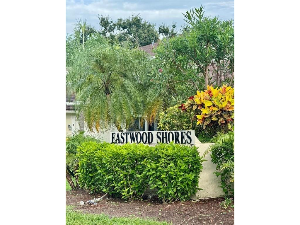 2943 Lichen Lane #B Clearwater FL 33760 TB8438607 image43