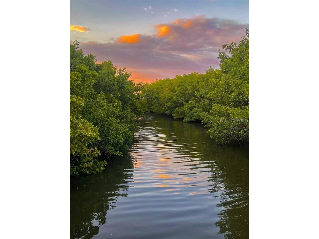 2943 Lichen Lane #B Clearwater FL 33760 TB8438607 image44