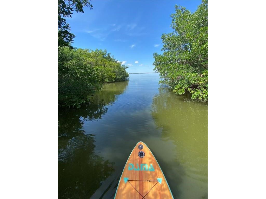 2943 Lichen Lane #B Clearwater FL 33760 TB8438607 image45