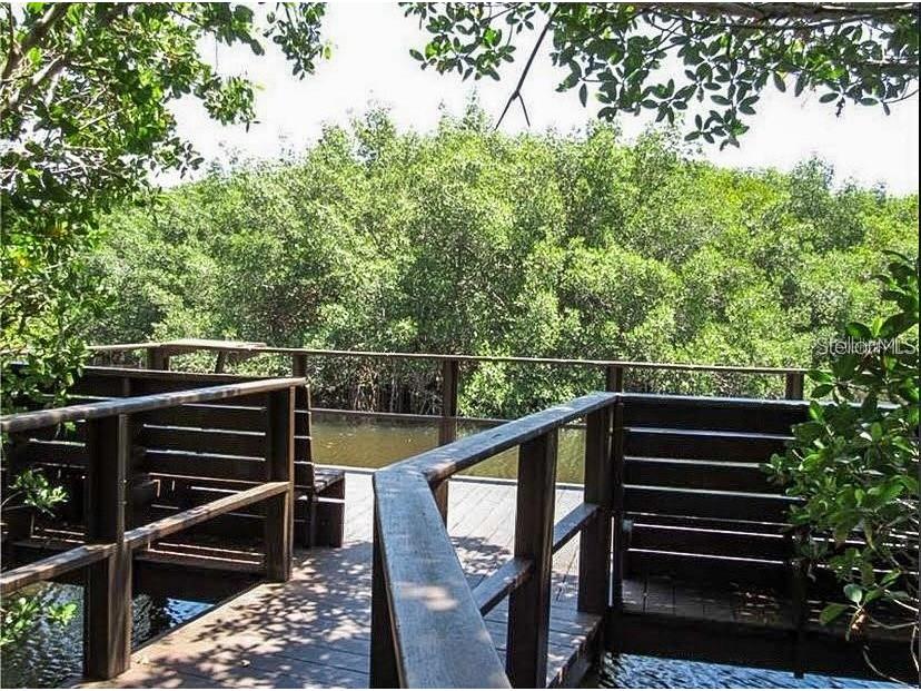 2943 Lichen Lane #B Clearwater FL 33760 TB8438607 image47