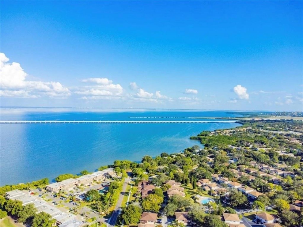 2943 Lichen Lane #B Clearwater FL 33760 TB8438607 image49