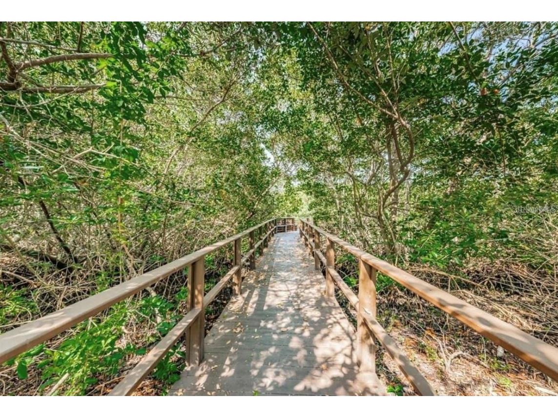 2943 Lichen Lane #B Clearwater FL 33760 TB8438607 image50