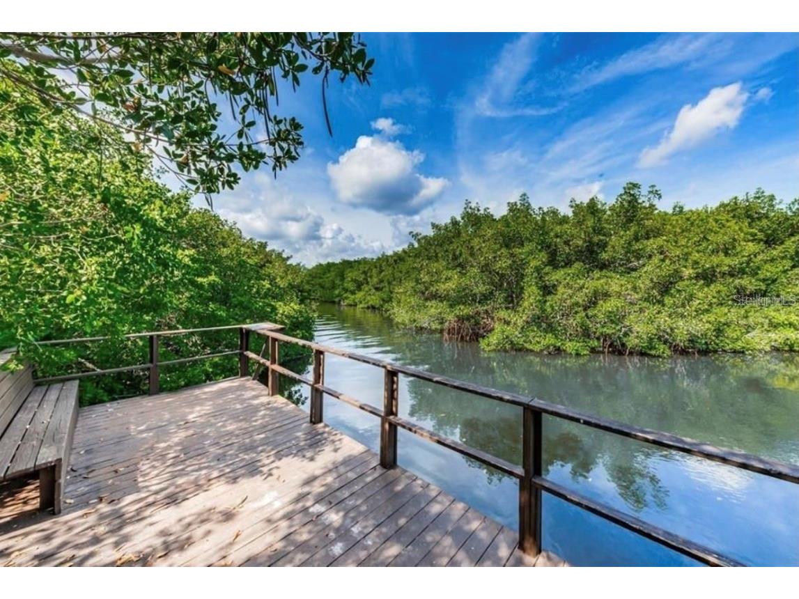 2943 Lichen Lane #B Clearwater FL 33760 TB8438607 image51