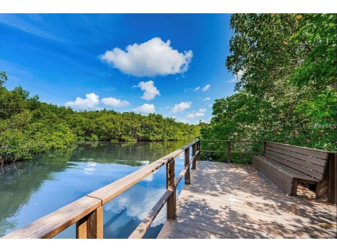 2943 Lichen Lane #B Clearwater FL 33760 TB8438607 image52