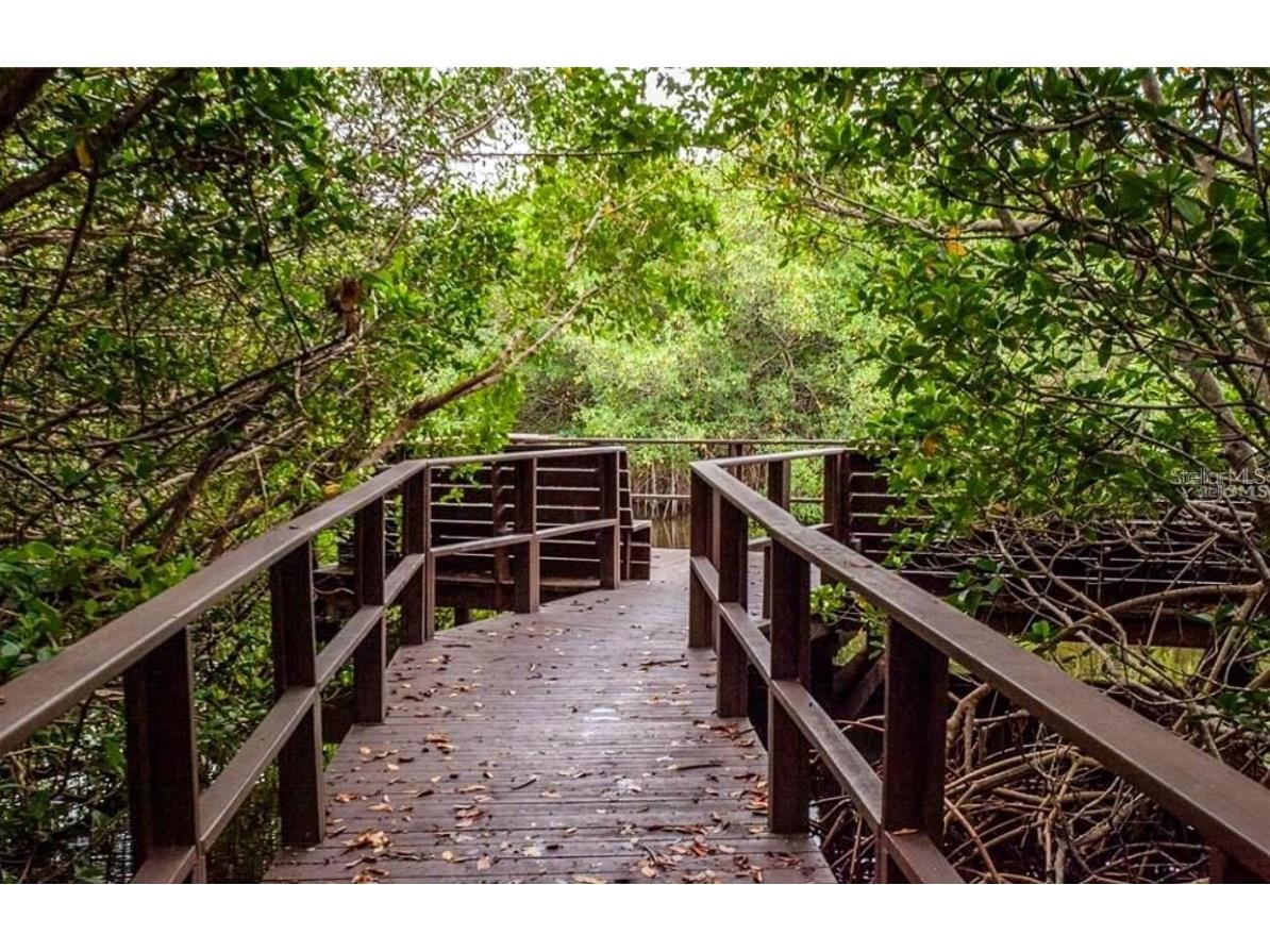 2943 Lichen Lane #B Clearwater FL 33760 TB8438607 image53