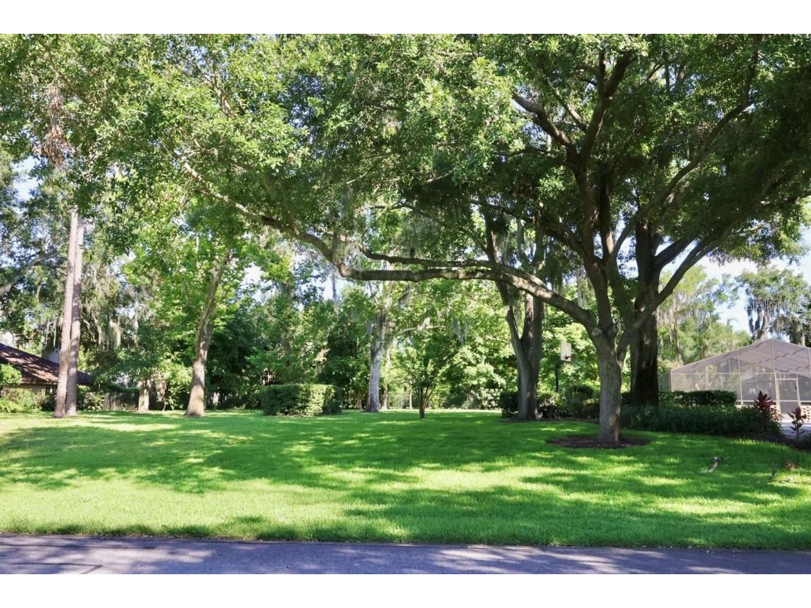 2943 Marquesas Court Windermere FL 34786 O6357519 image11