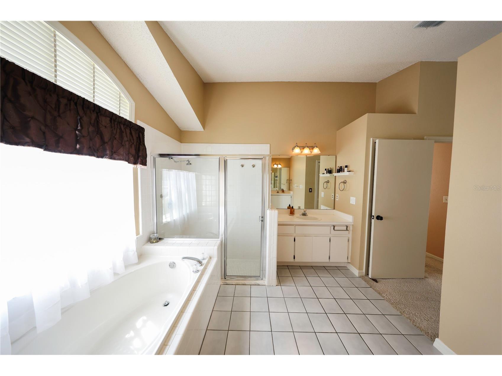 2943 Paddington Way Kissimmee FL 34747 O6402195 image18