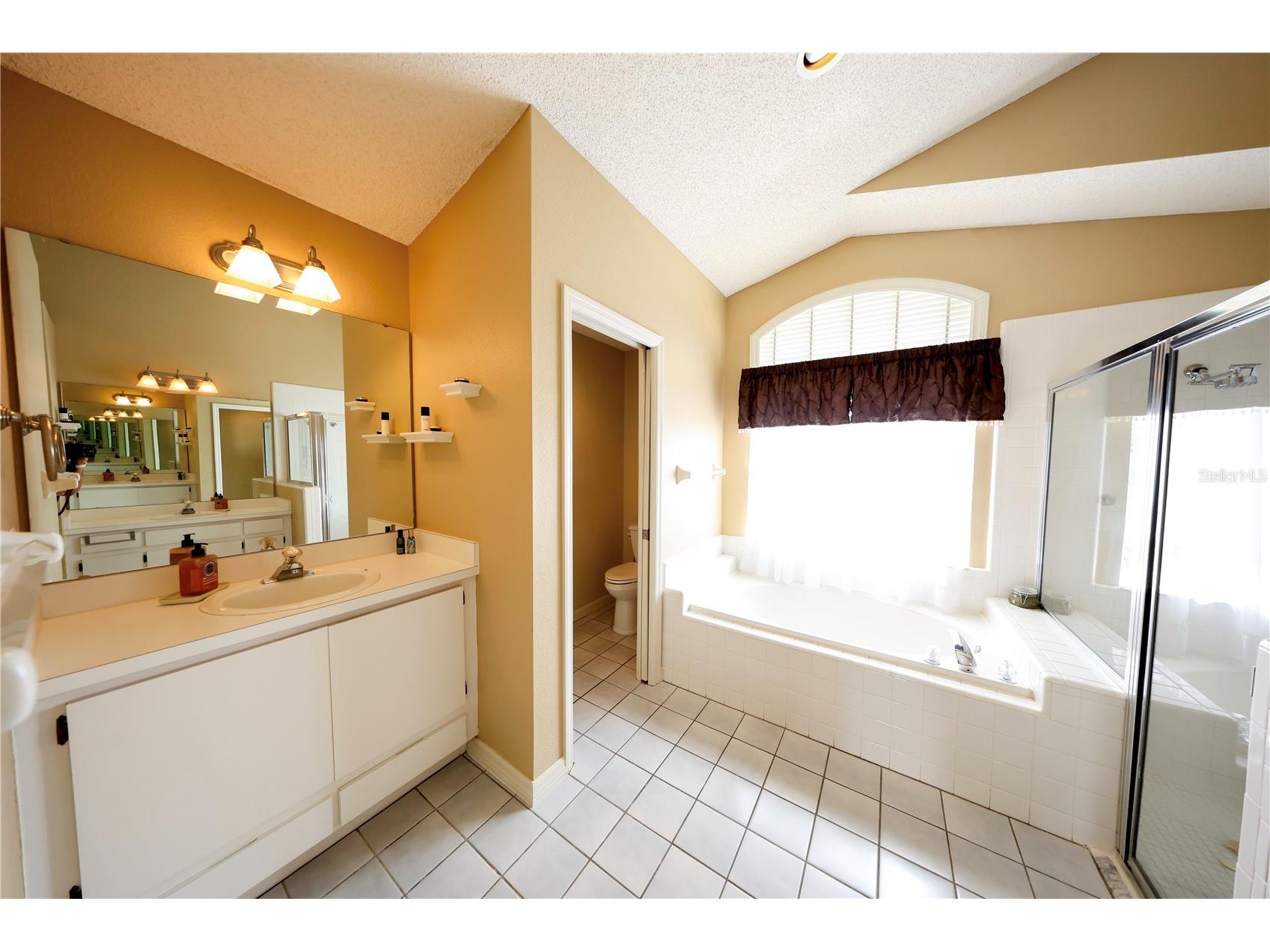 2943 Paddington Way Kissimmee FL 34747 O6402195 image19