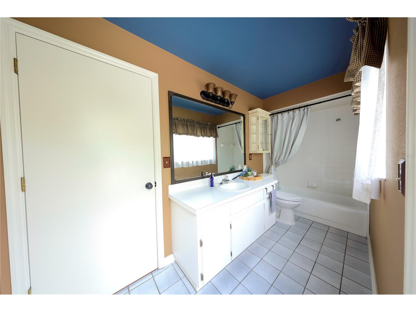 2943 Paddington Way Kissimmee FL 34747 O6402195 image23