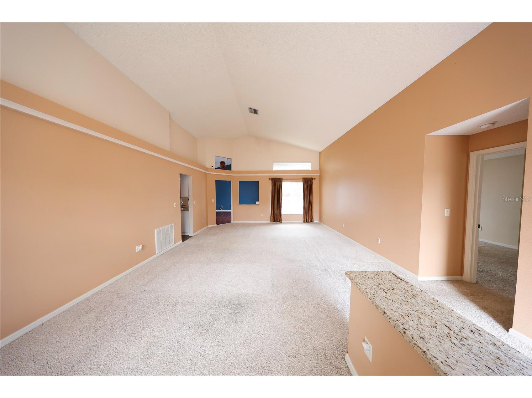 2943 Paddington Way Kissimmee FL 34747 O6402195 image4