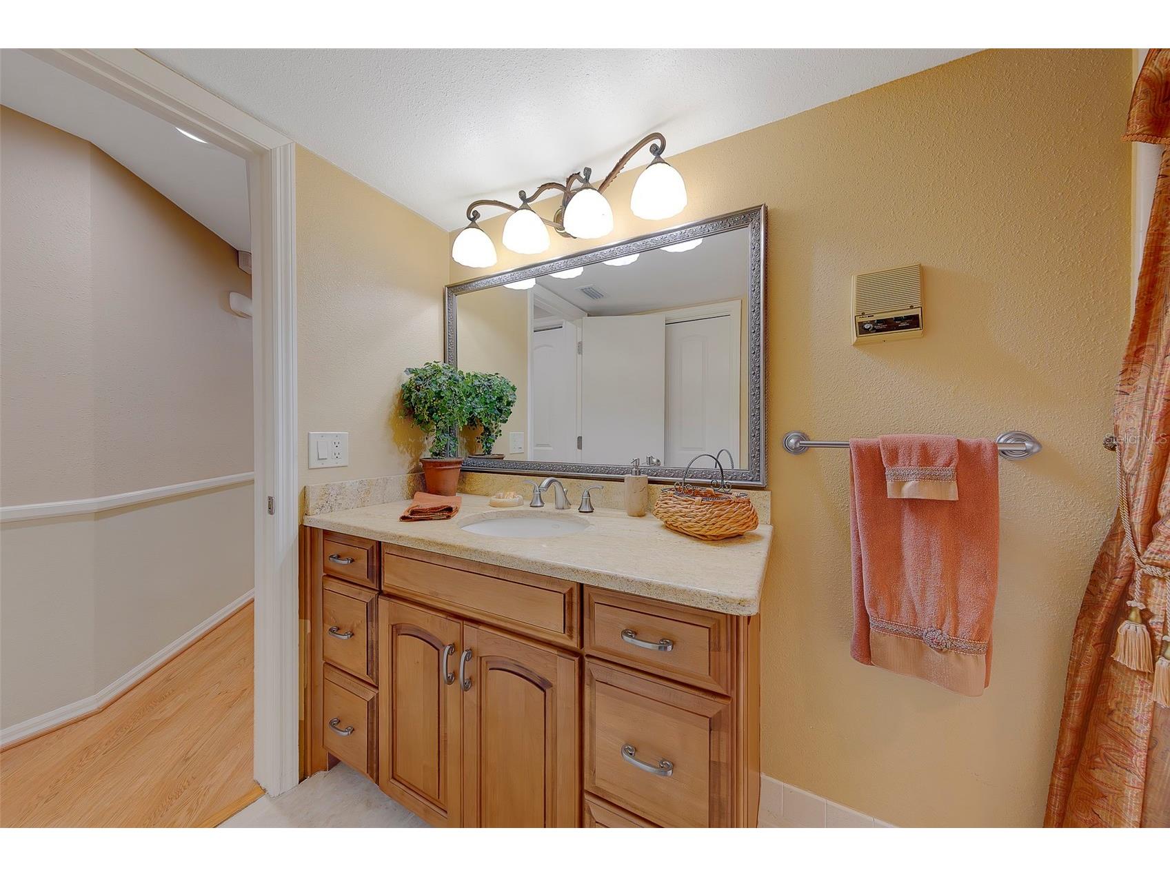 2943 Whisper Lane N Clearwater FL 33762 TB8518752 image47