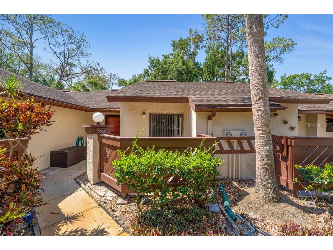 2943 Yucca Court Palm Harbor FL 34684 T3446267 image1