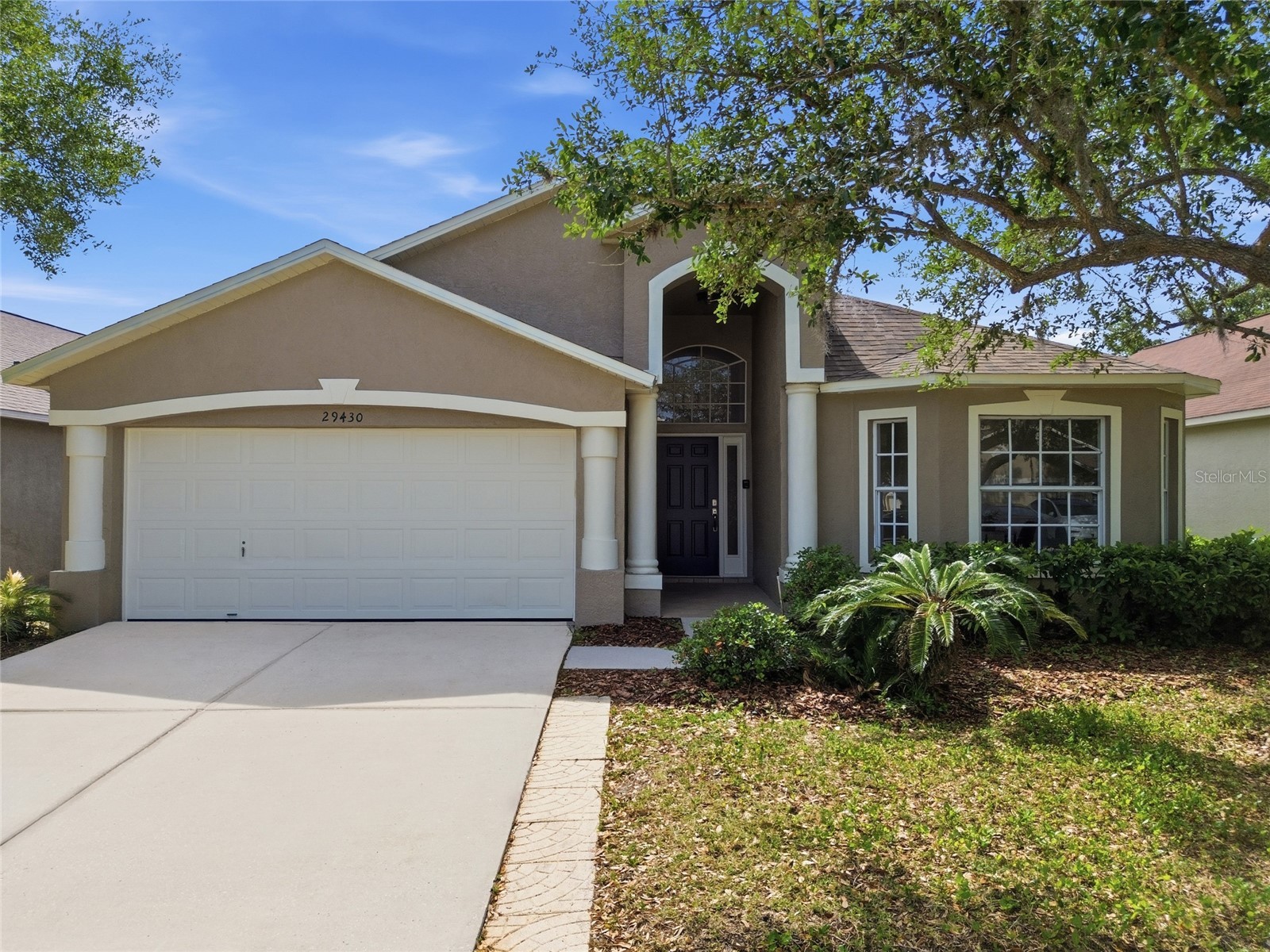 29430 Sea Dahlia Pass Wesley Chapel FL 33543 TB8495018 image1