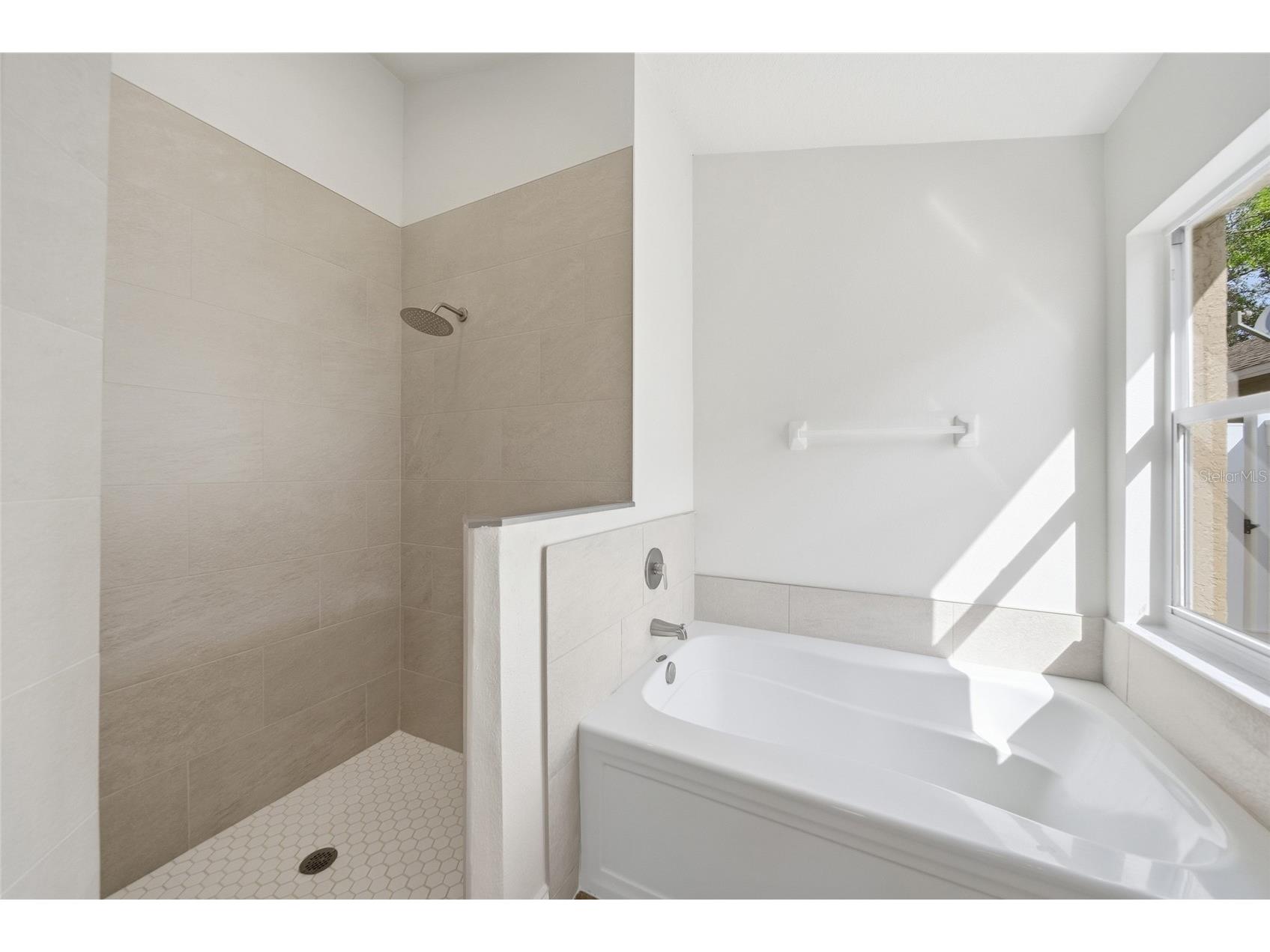 29430 Sea Dahlia Pass Wesley Chapel FL 33543 TB8495018 image21