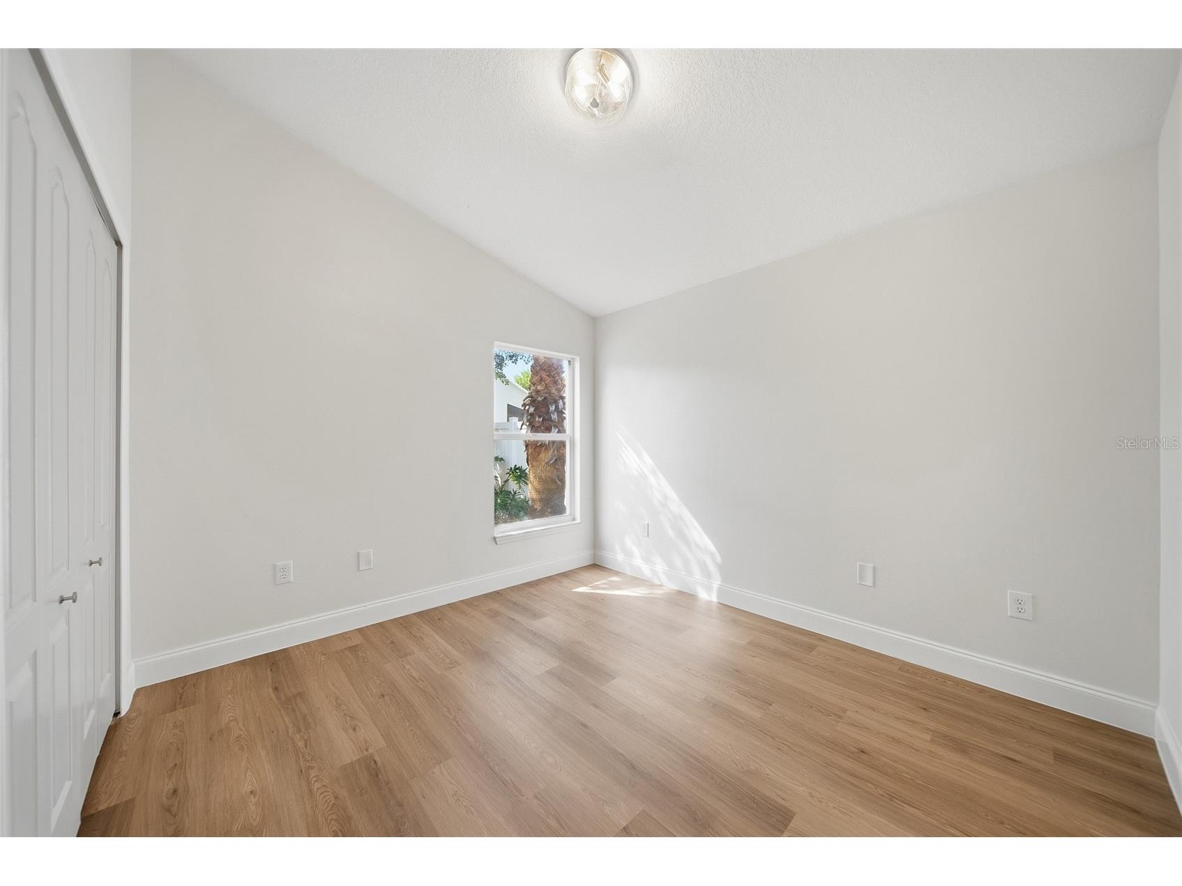 29430 Sea Dahlia Pass Wesley Chapel FL 33543 TB8495018 image22