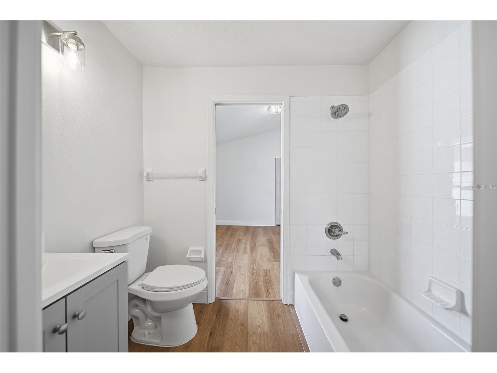 29430 Sea Dahlia Pass Wesley Chapel FL 33543 TB8495018 image24