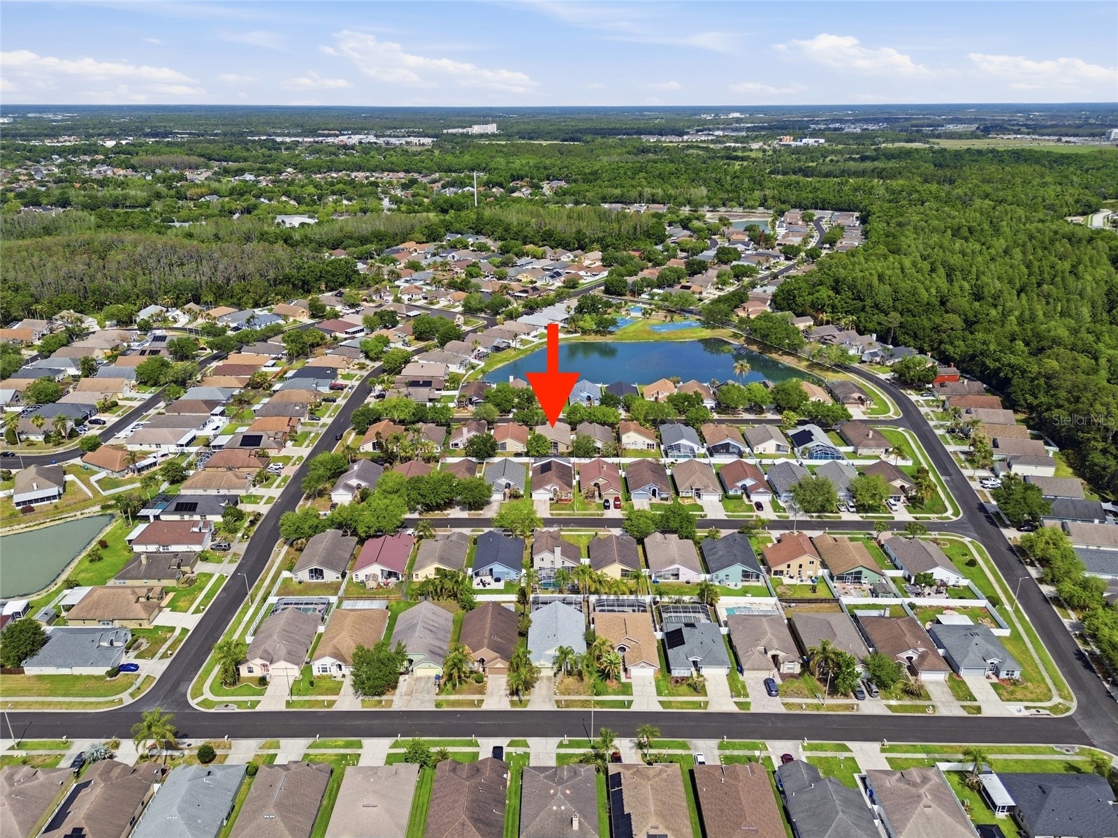 29430 Sea Dahlia Pass Wesley Chapel FL 33543 TB8495018 image32
