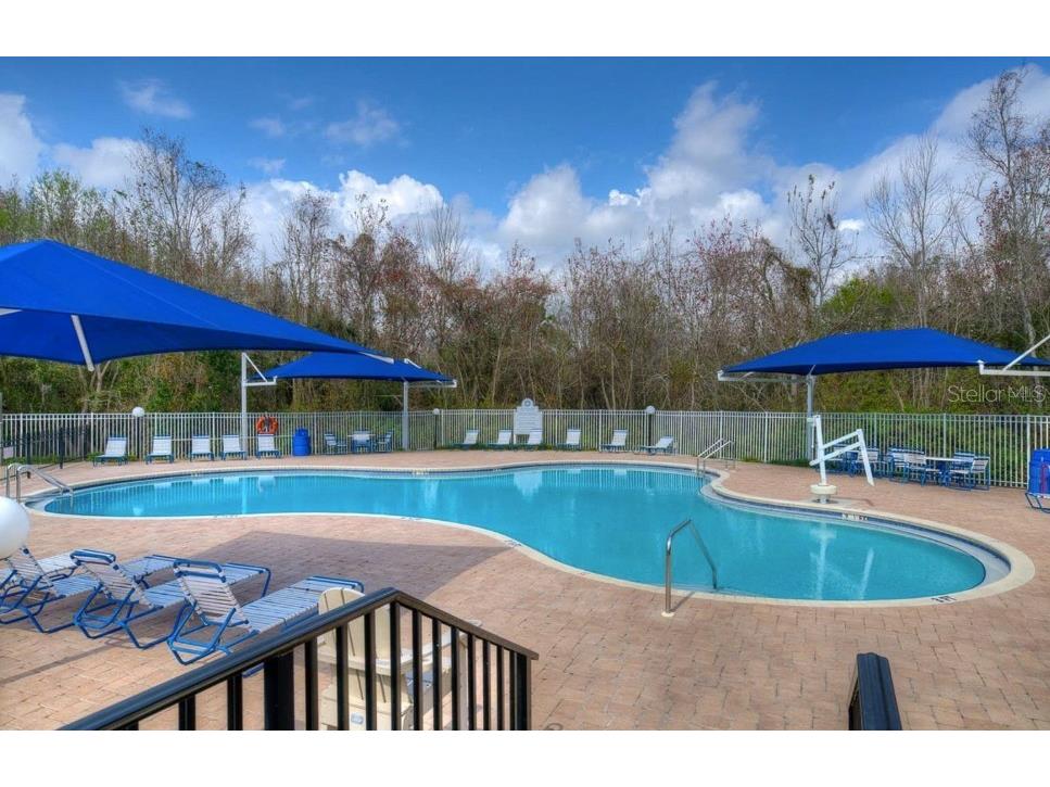 29430 Sea Dahlia Pass Wesley Chapel FL 33543 TB8495018 image35