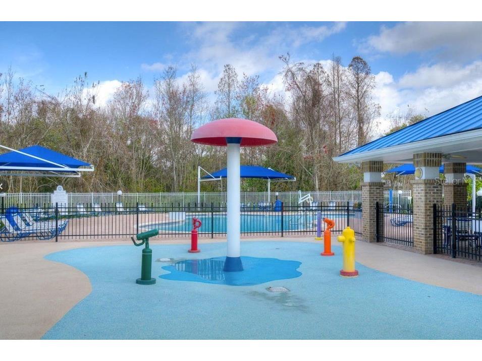 29430 Sea Dahlia Pass Wesley Chapel FL 33543 TB8495018 image36
