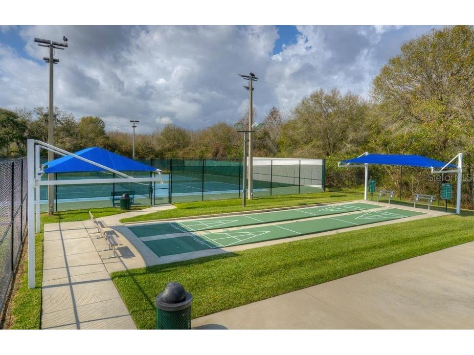 29430 Sea Dahlia Pass Wesley Chapel FL 33543 TB8495018 image38