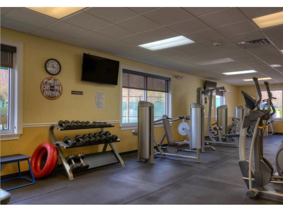 29430 Sea Dahlia Pass Wesley Chapel FL 33543 TB8495018 image39
