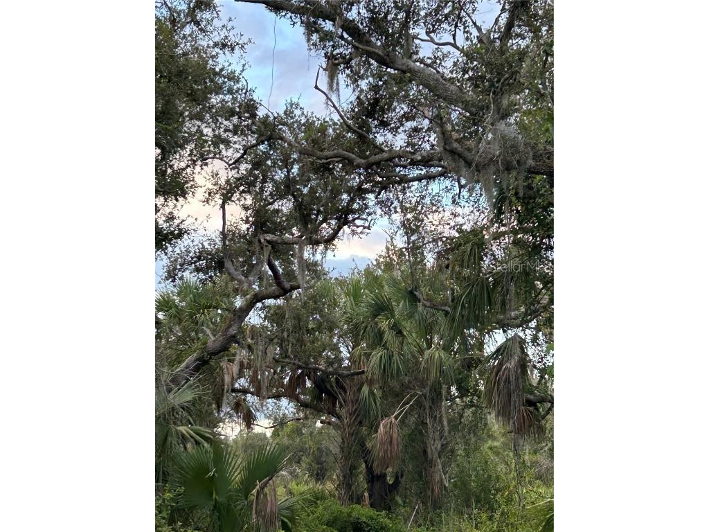 29431 Nottingham Road Punta Gorda FL 33982 OM666471 image3