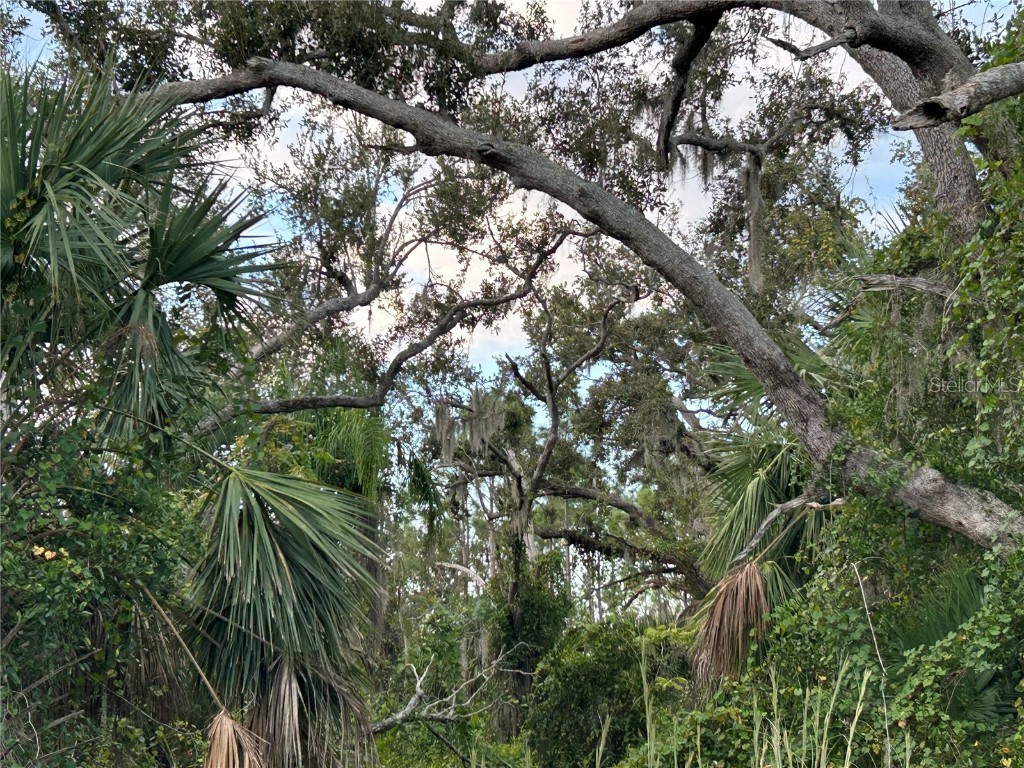 29431 Nottingham Road Punta Gorda FL 33982 OM666471 image4