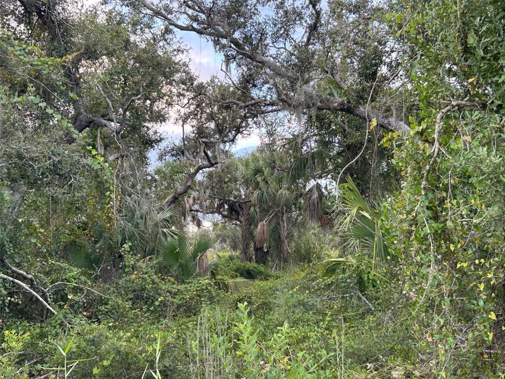 29431 Nottingham Road Punta Gorda FL 33982 OM666471 image5