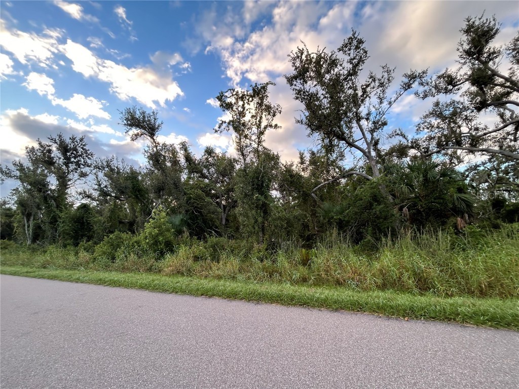 29431 Nottingham Road Punta Gorda FL 33982 OM666471 image6