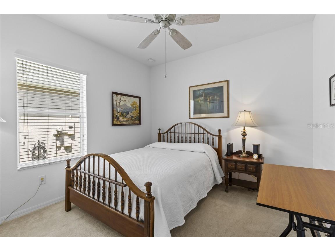 29432 Coharie Loop San Antonio FL 33576 TB8379280 image23