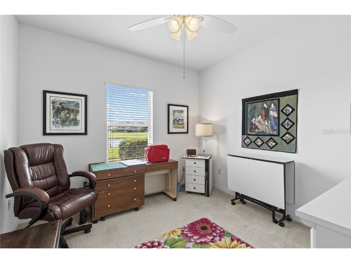 29432 Coharie Loop San Antonio FL 33576 TB8379280 image25