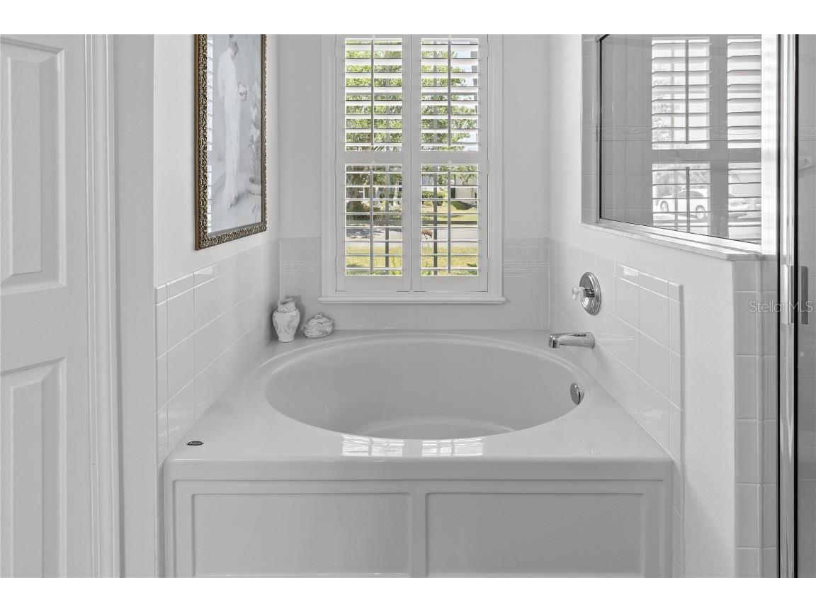 29432 Coharie Loop San Antonio FL 33576 TB8379280 image37