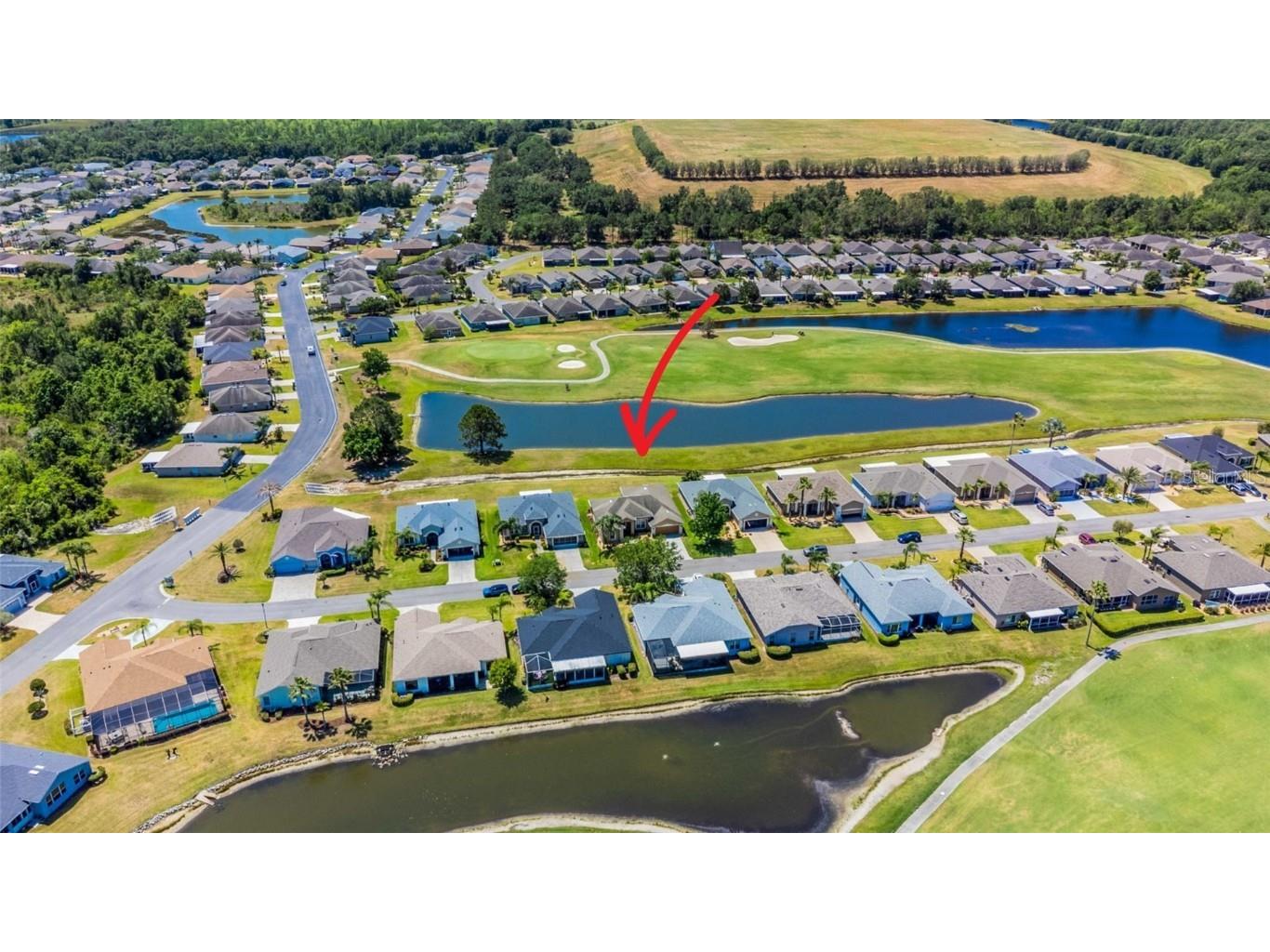 29432 Coharie Loop San Antonio FL 33576 TB8379280 image96