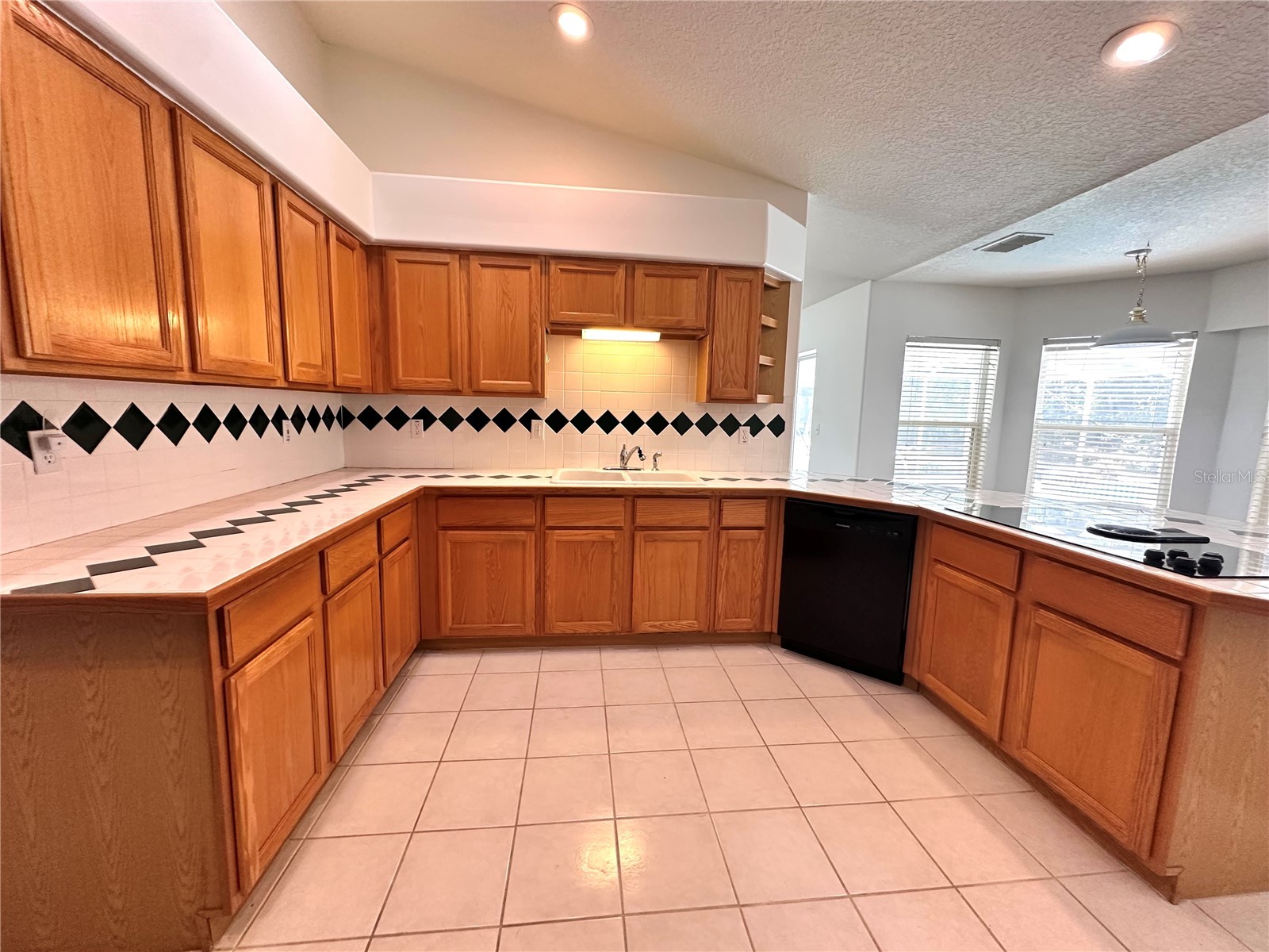 29439 Schinnecock Hills Lane San Antonio FL 33576 TB8516155 image10