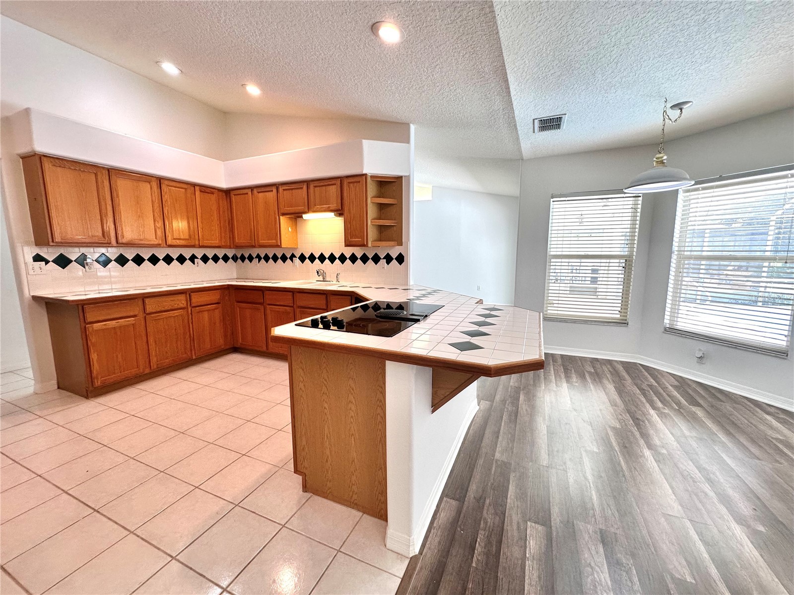 29439 Schinnecock Hills Lane San Antonio FL 33576 TB8516155 image11
