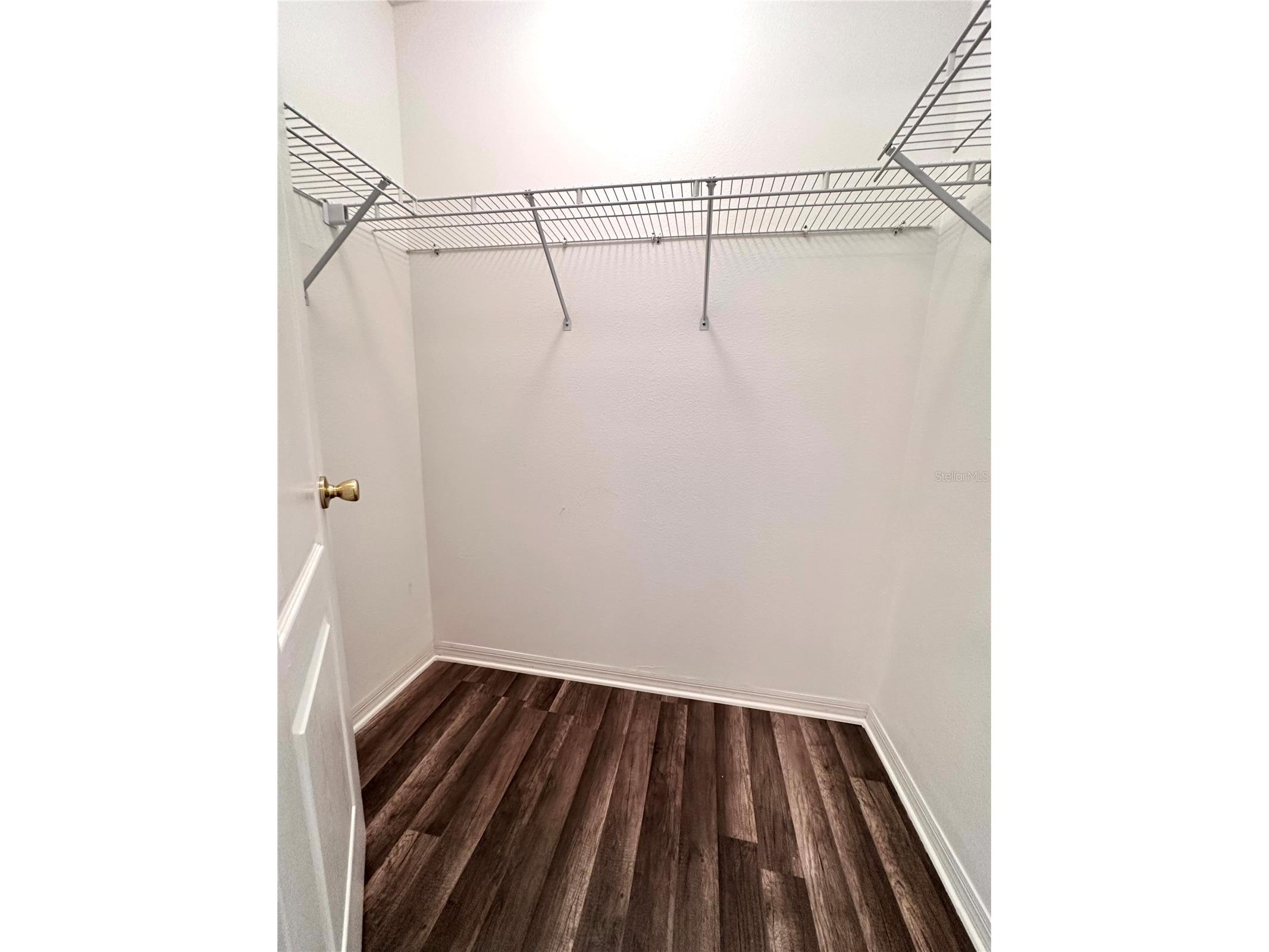 29439 Schinnecock Hills Lane San Antonio FL 33576 TB8516155 image15