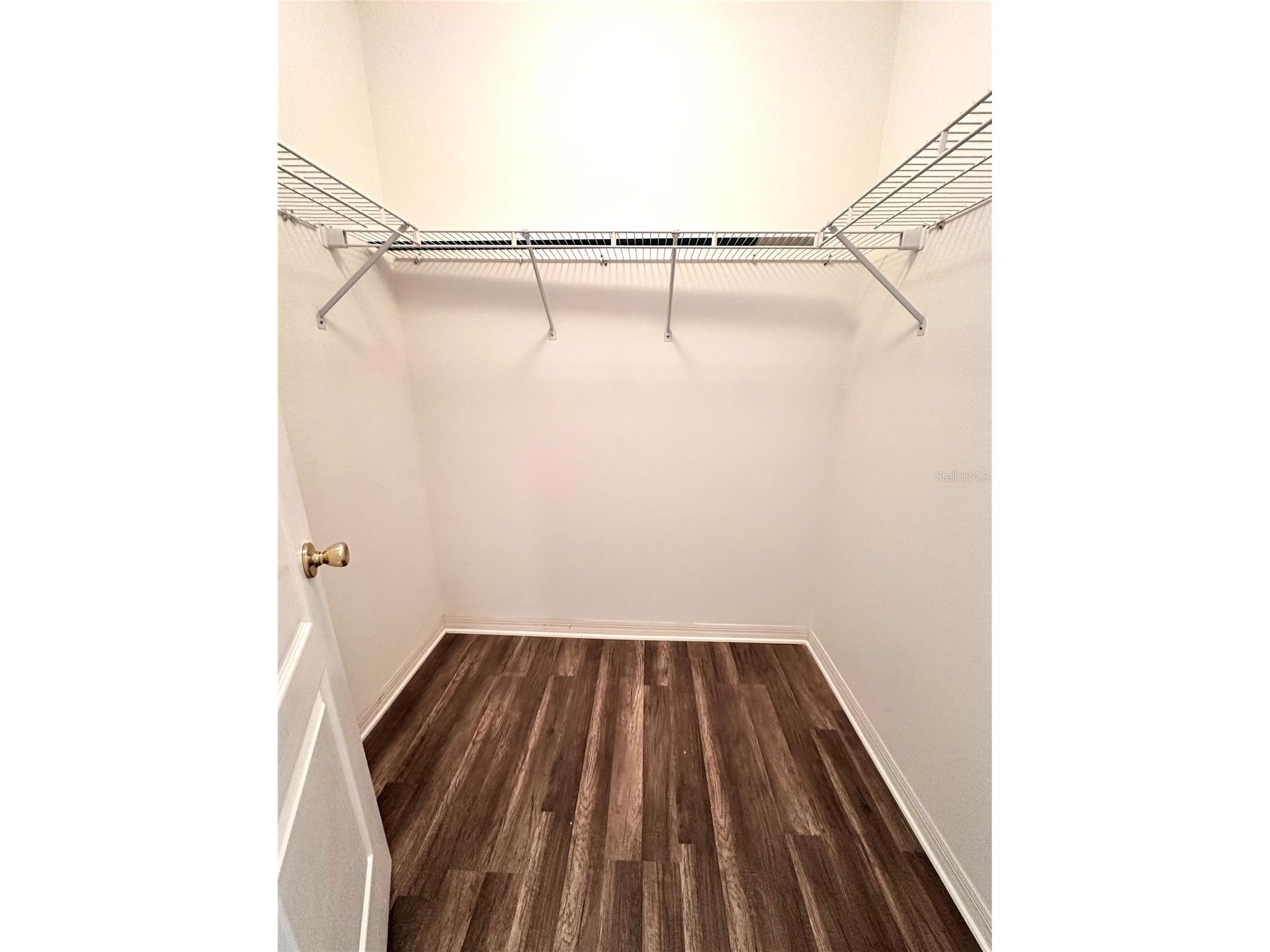 29439 Schinnecock Hills Lane San Antonio FL 33576 TB8516155 image17