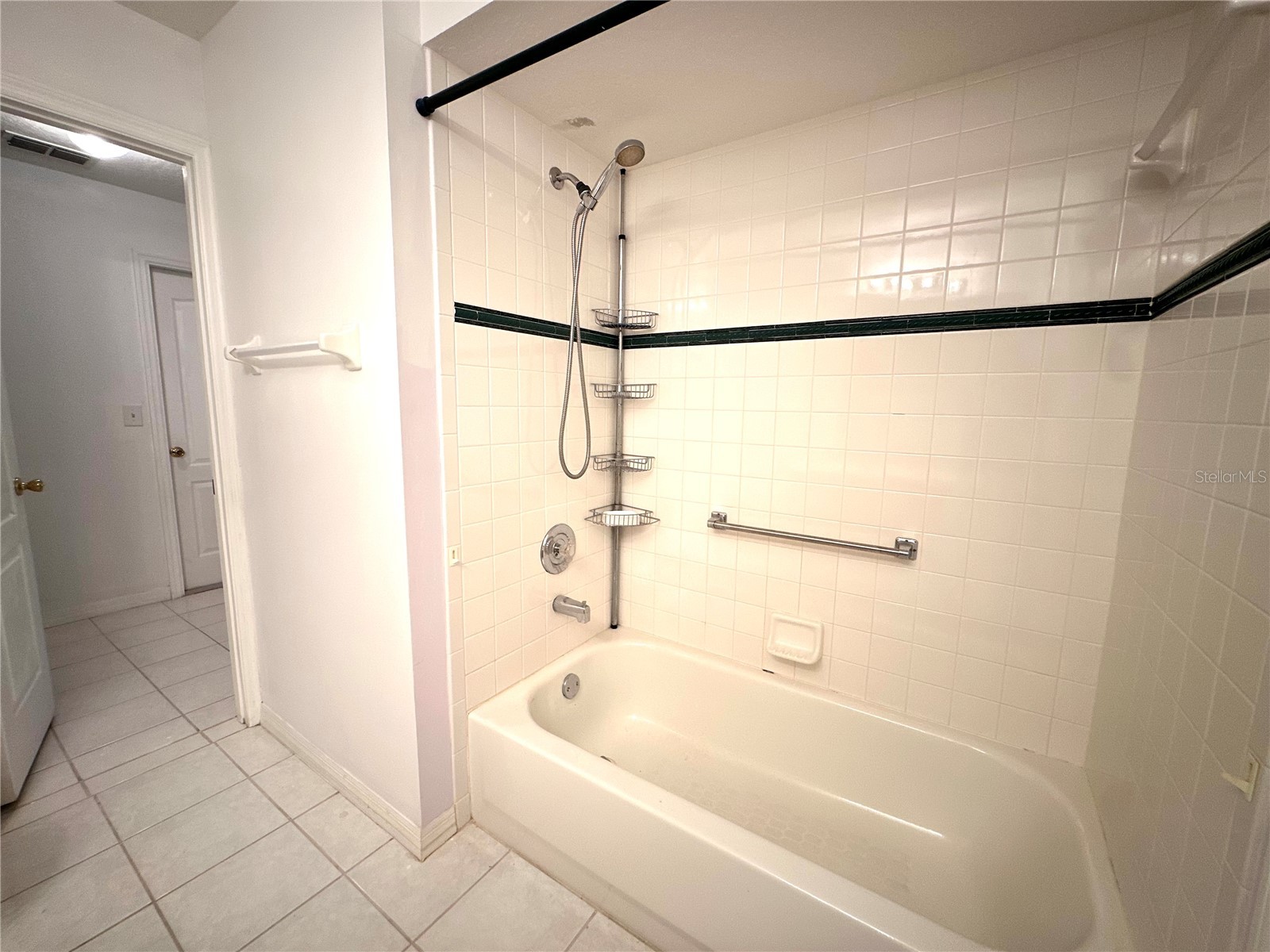 29439 Schinnecock Hills Lane San Antonio FL 33576 TB8516155 image24