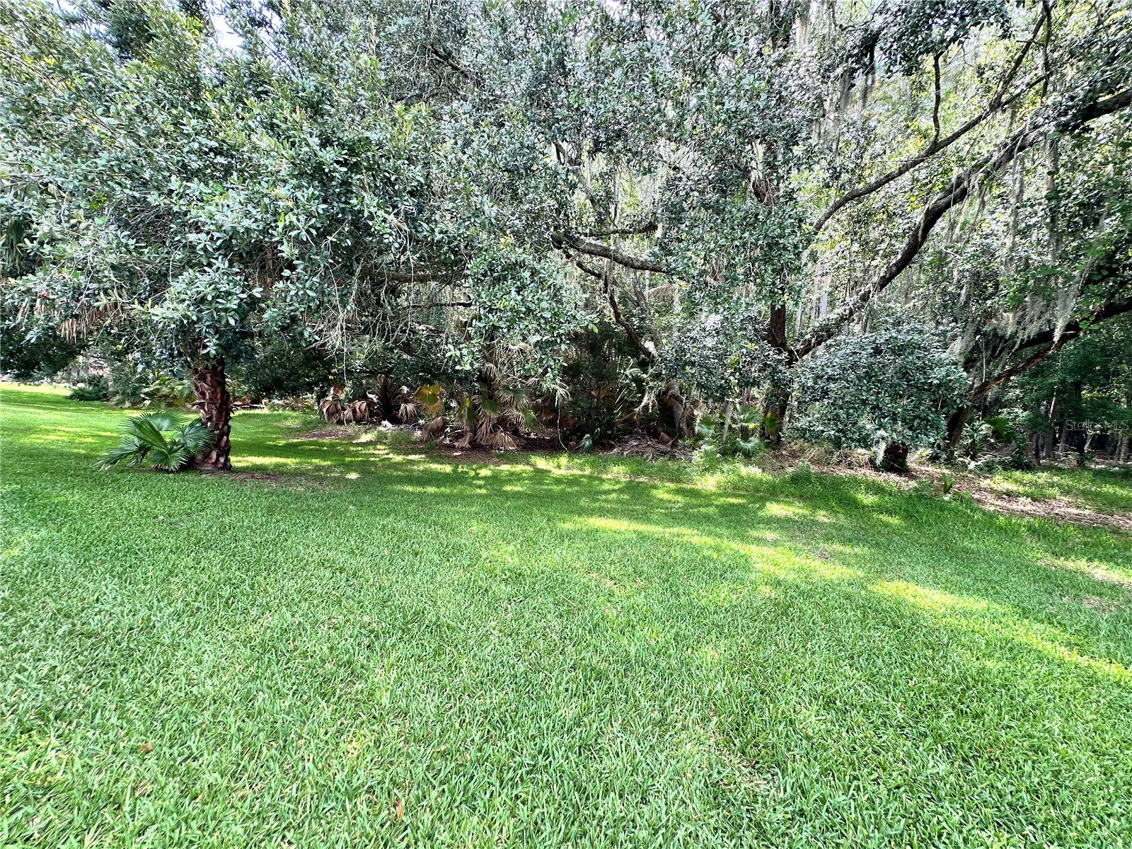 29439 Schinnecock Hills Lane San Antonio FL 33576 TB8516155 image32