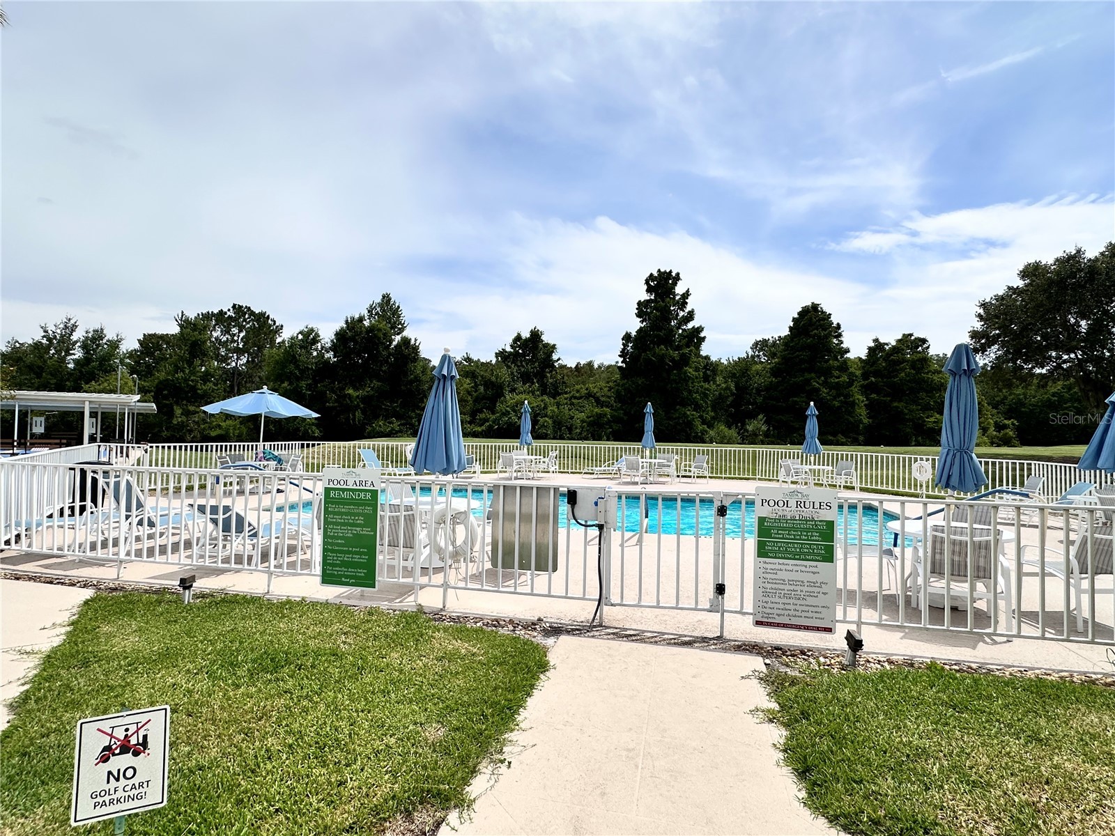 29439 Schinnecock Hills Lane San Antonio FL 33576 TB8516155 image38