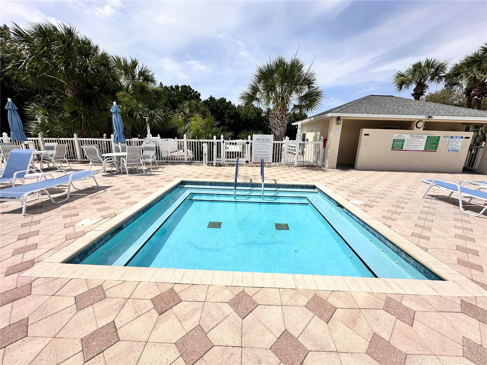 29439 Schinnecock Hills Lane San Antonio FL 33576 TB8516155 image46