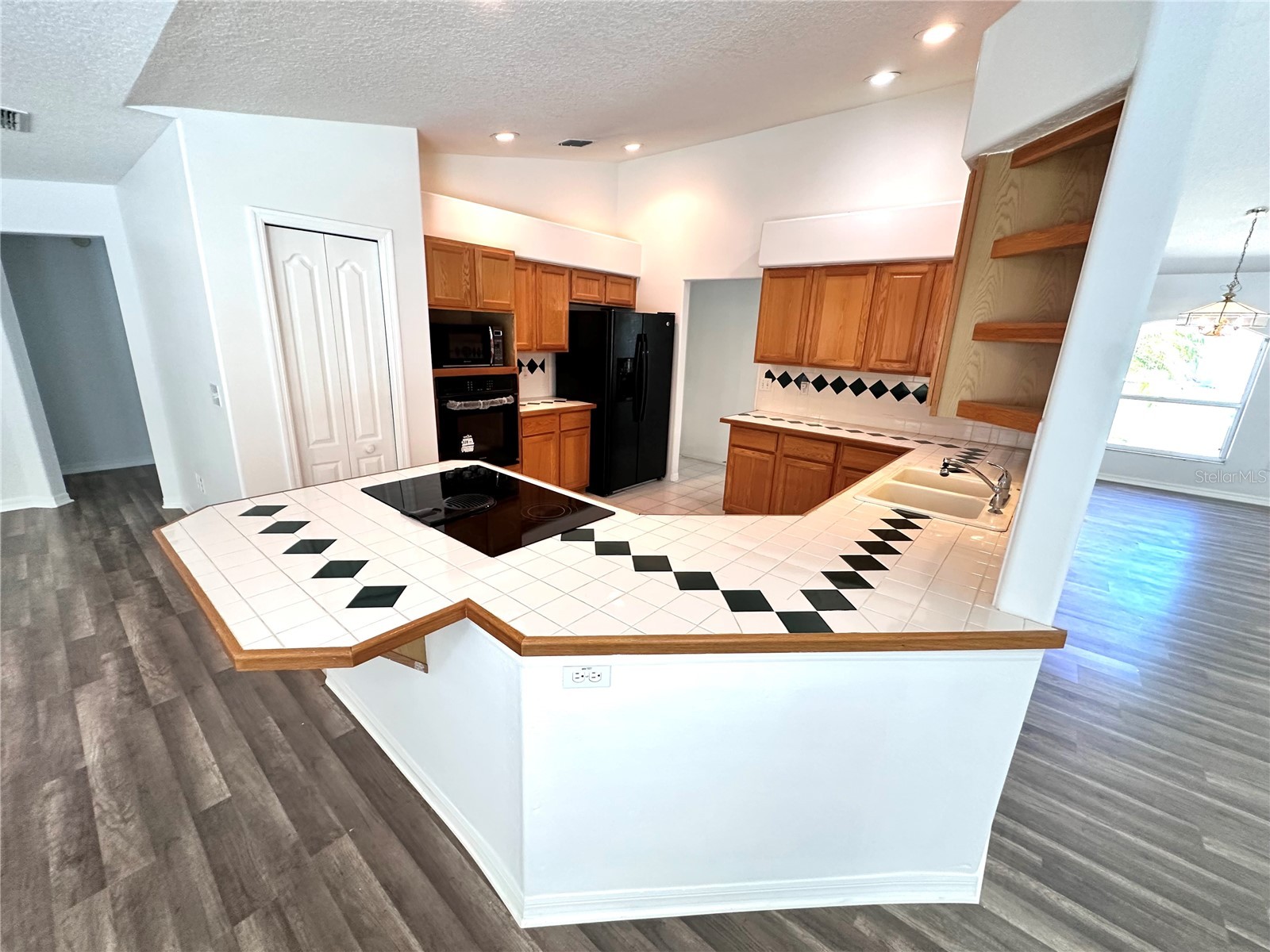 29439 Schinnecock Hills Lane San Antonio FL 33576 TB8516155 image8